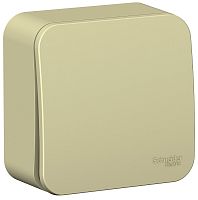 Переключатель накладной Systeme Electric Blanca 1-кл. проходной бежевый картинка